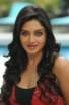 Vimala Raman Hot Photos